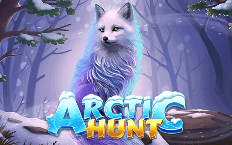 Arctic Hunt Screenshot