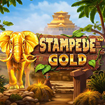 BetSoft Stampede Gold